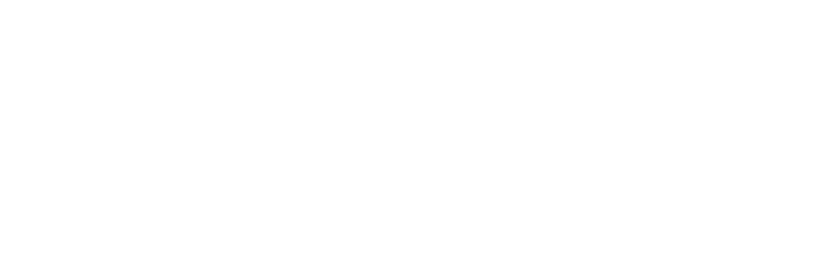 lay-auto-logo-2 (1) (1)