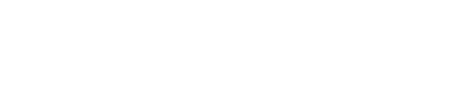 lay-auto-logo-white